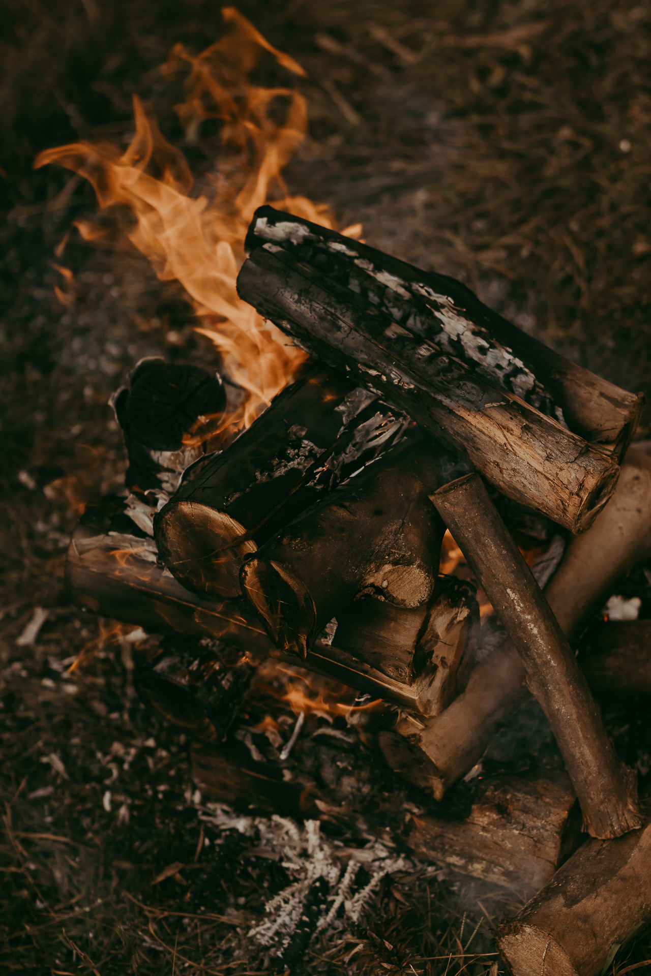 JGP site (8 de 96).jpg