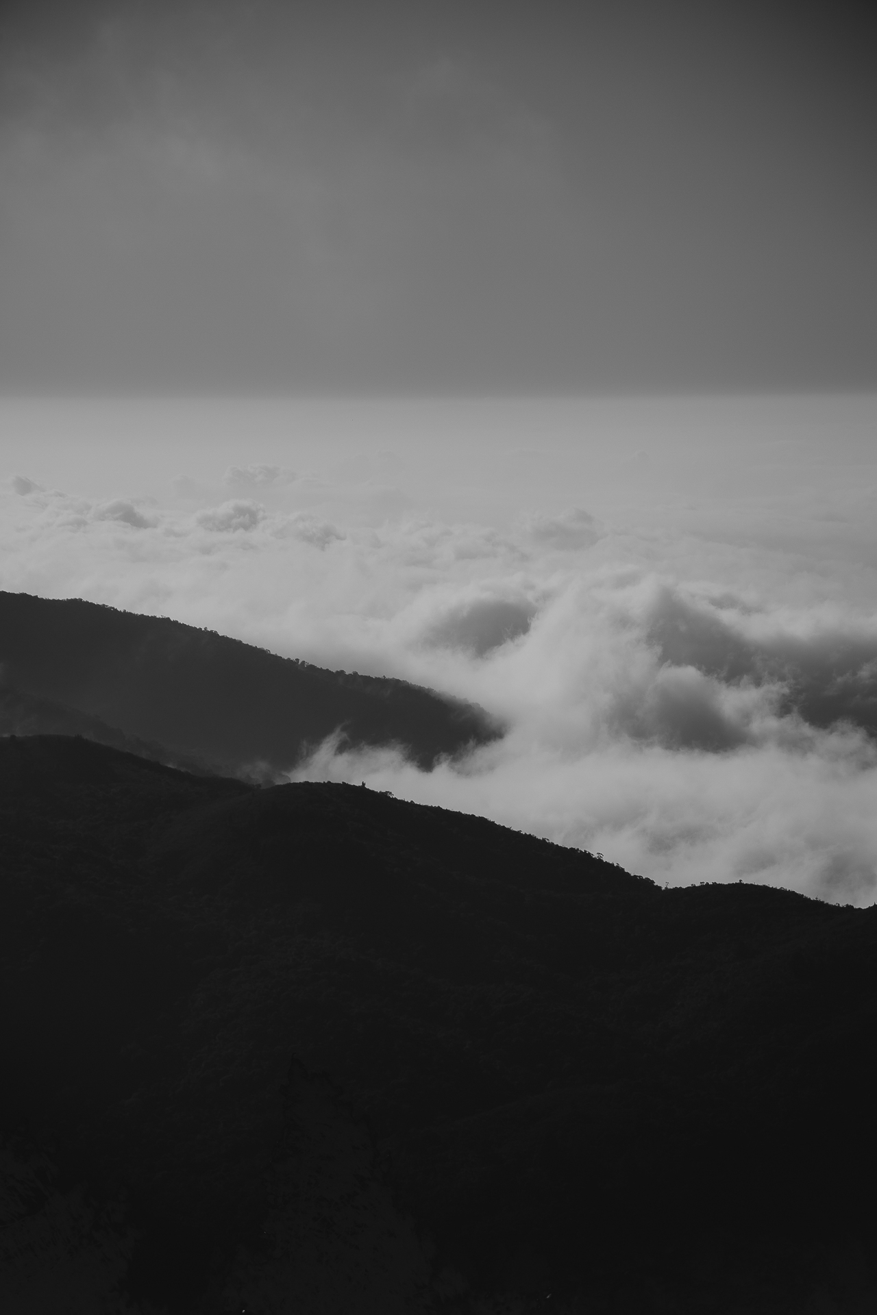 JGP site (77 de 96).jpg