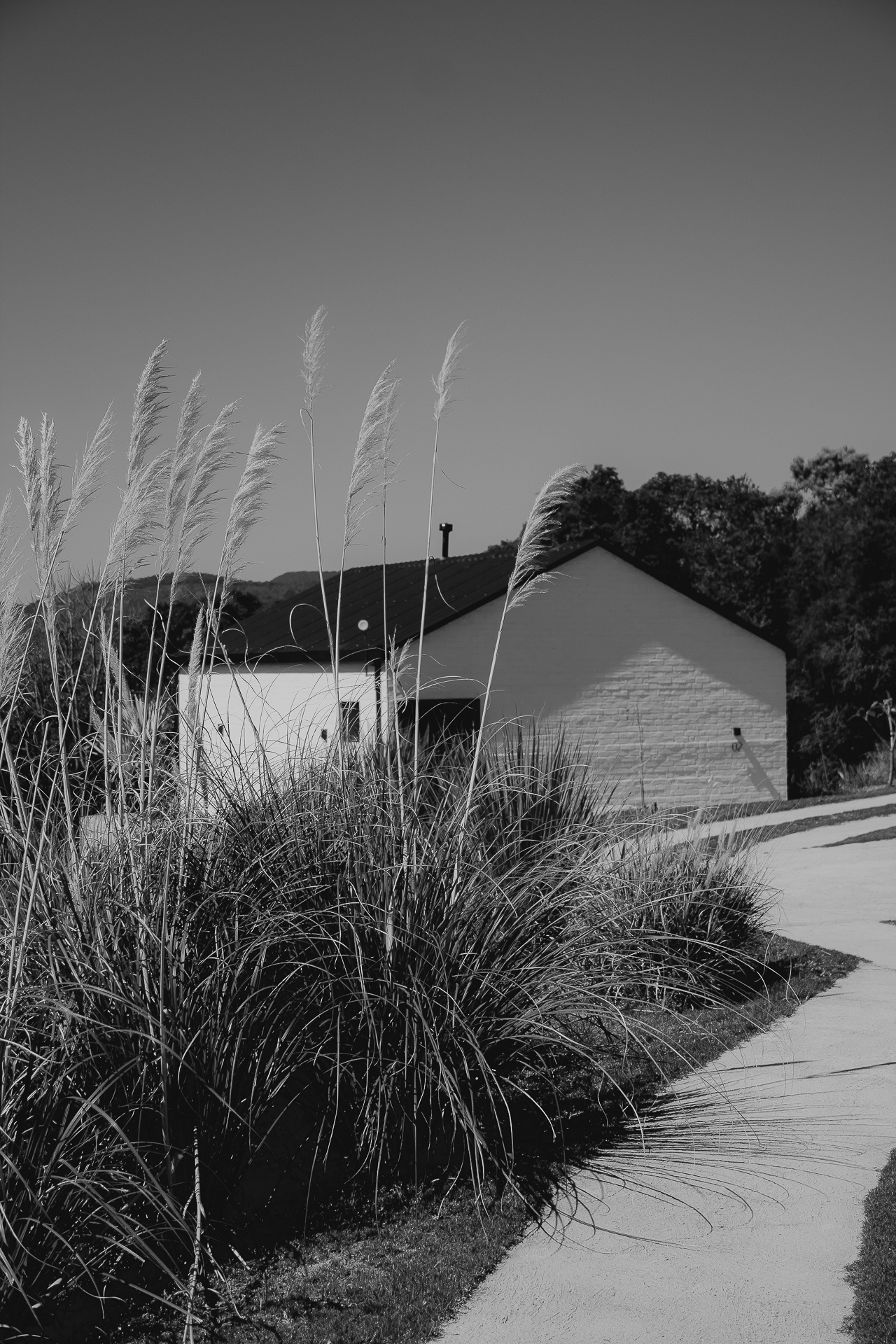 WC site (5 de 118).jpg