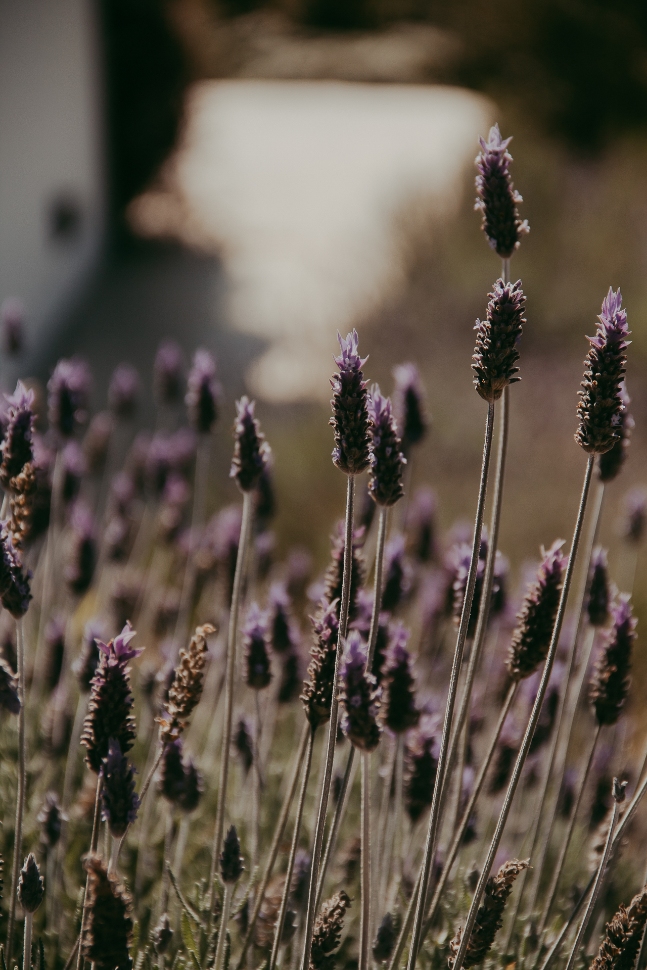 WC site (3 de 118).jpg